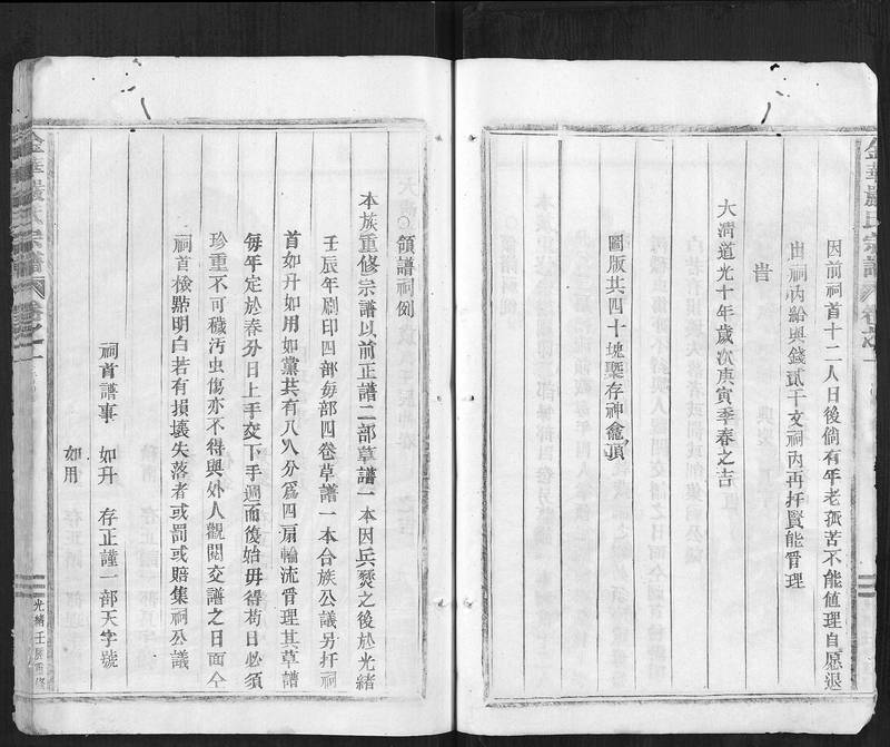 族谱预览
