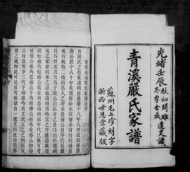 族谱预览
