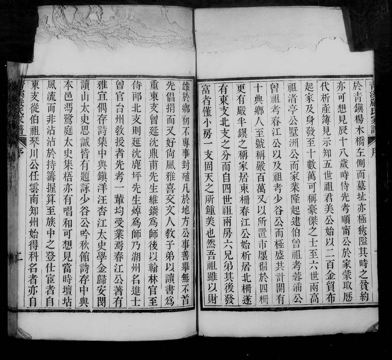 族谱预览