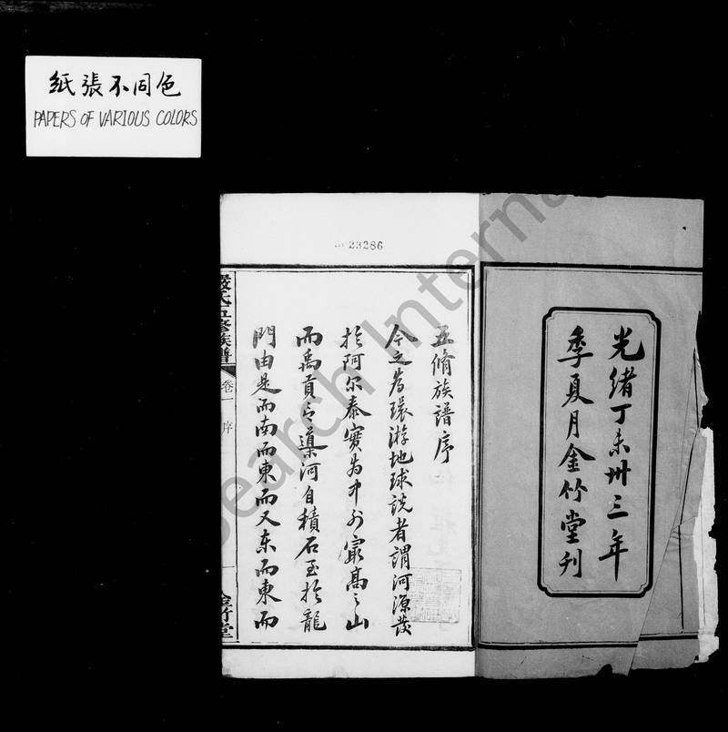 族谱预览