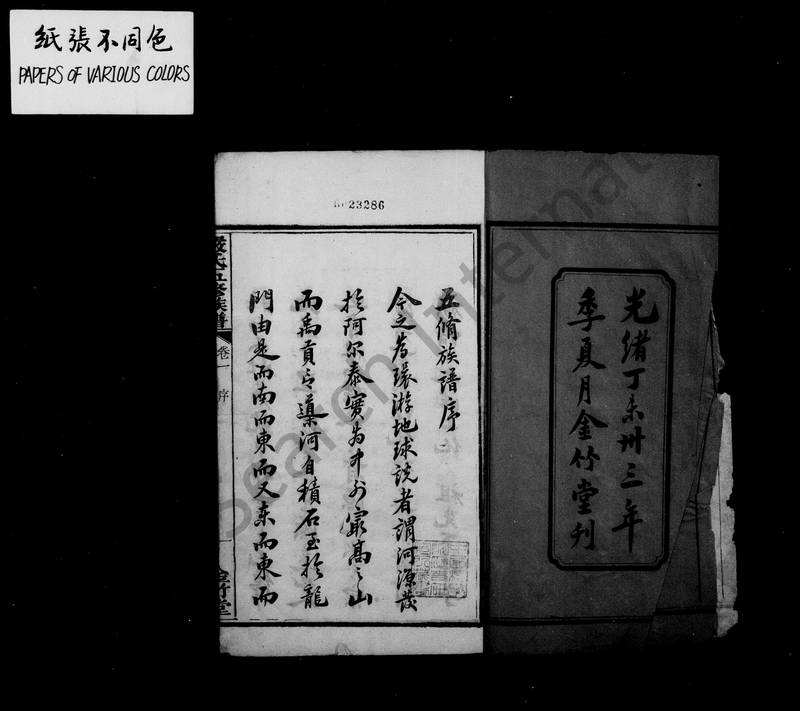 族谱预览