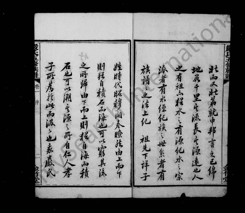 族谱预览