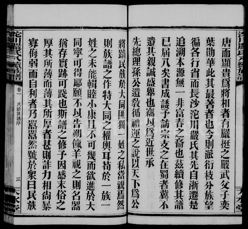 族谱预览