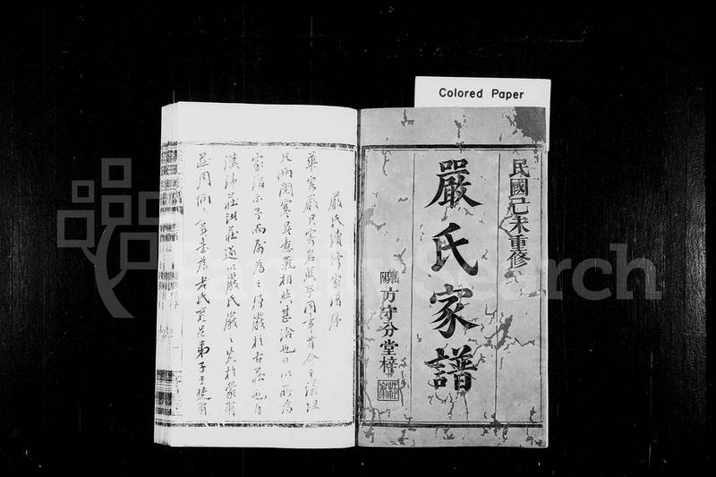 族谱预览