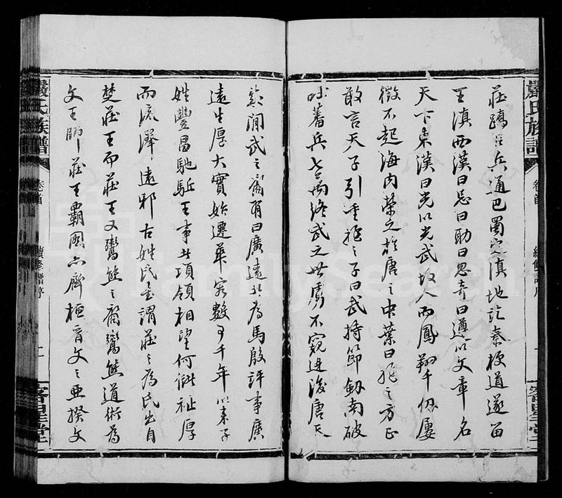 族谱预览