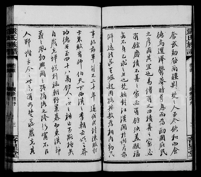 族谱预览