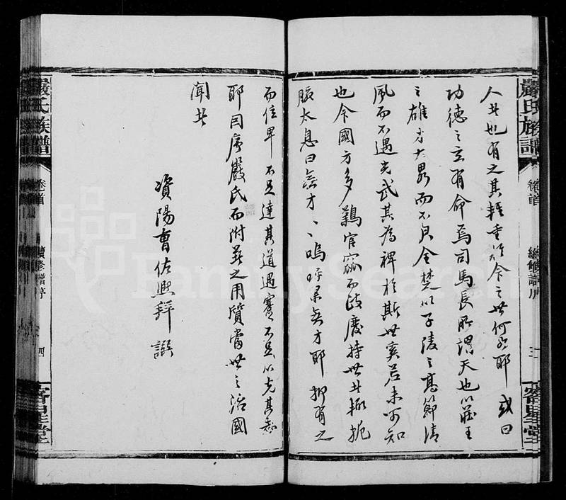 族谱预览