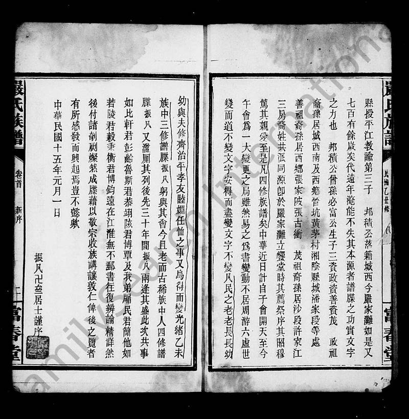 族谱预览