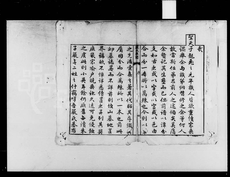 族谱预览