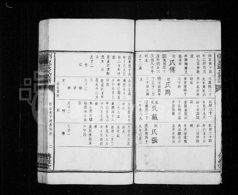 族谱预览