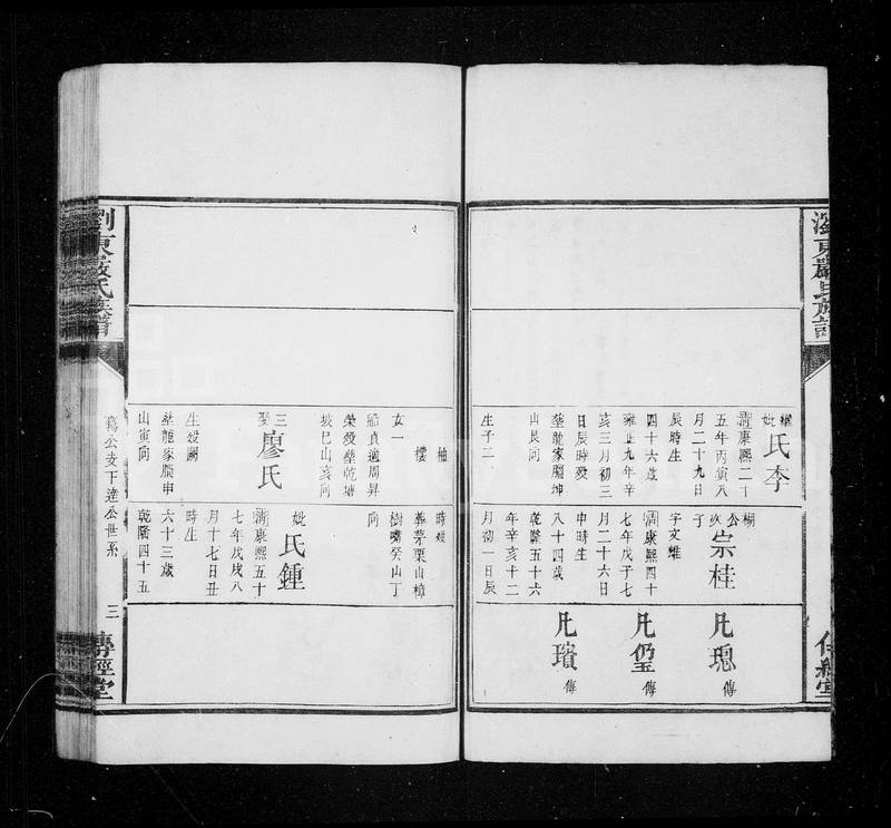族谱预览