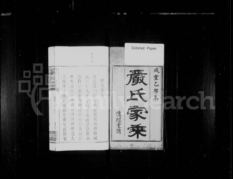 族谱预览