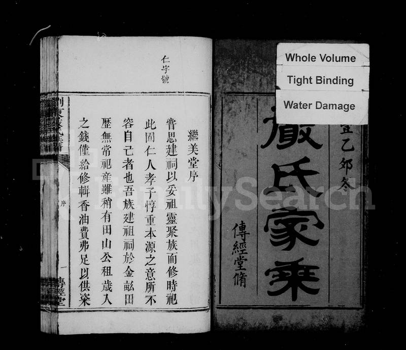 族谱预览