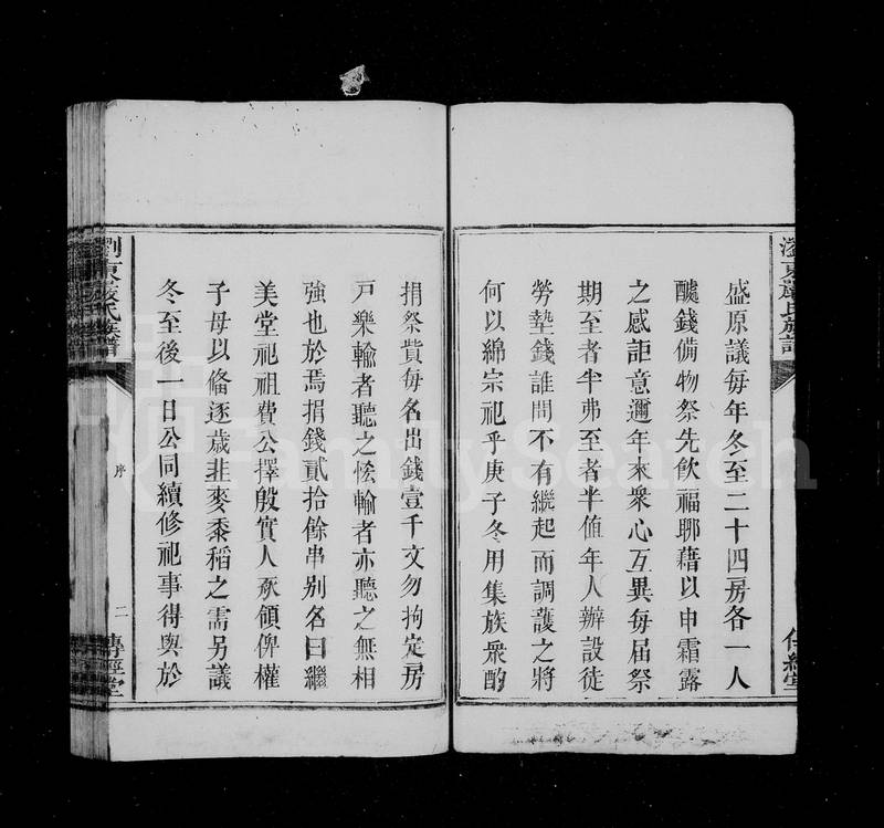 族谱预览