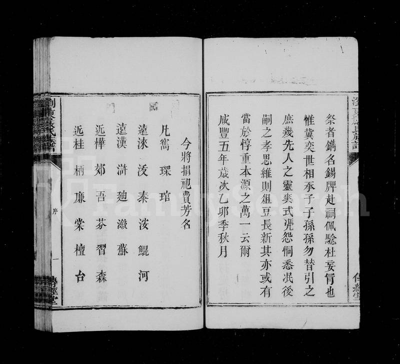 族谱预览