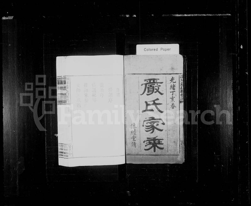 族谱预览