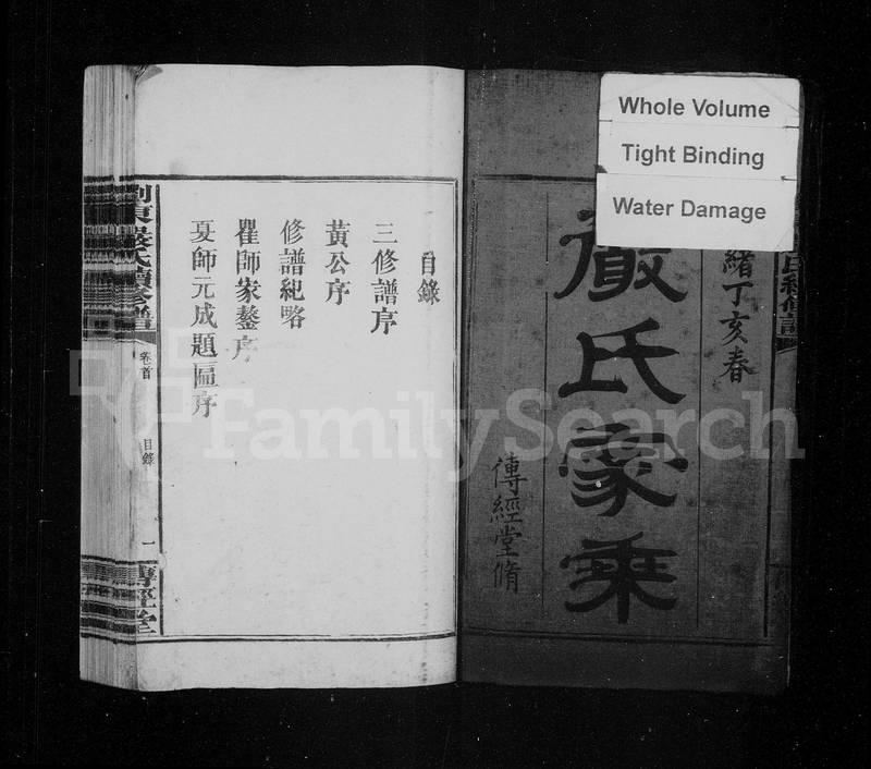族谱预览