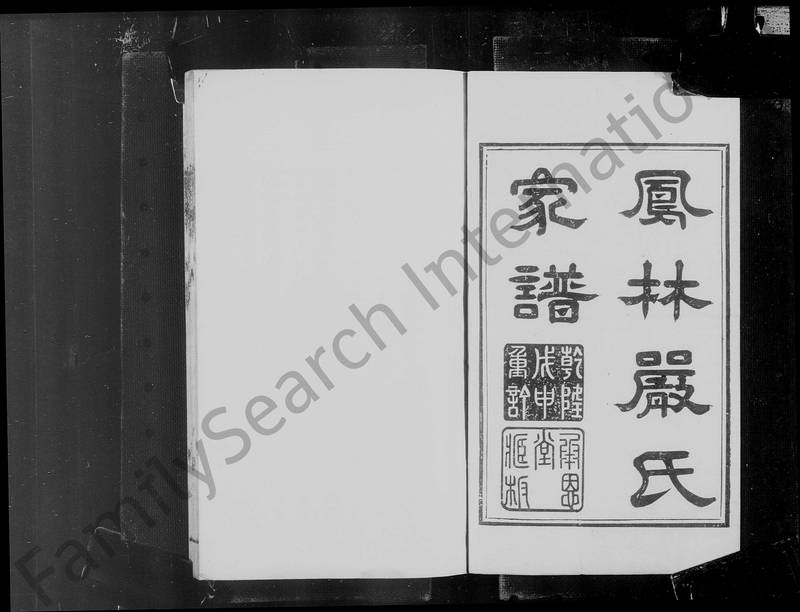族谱预览