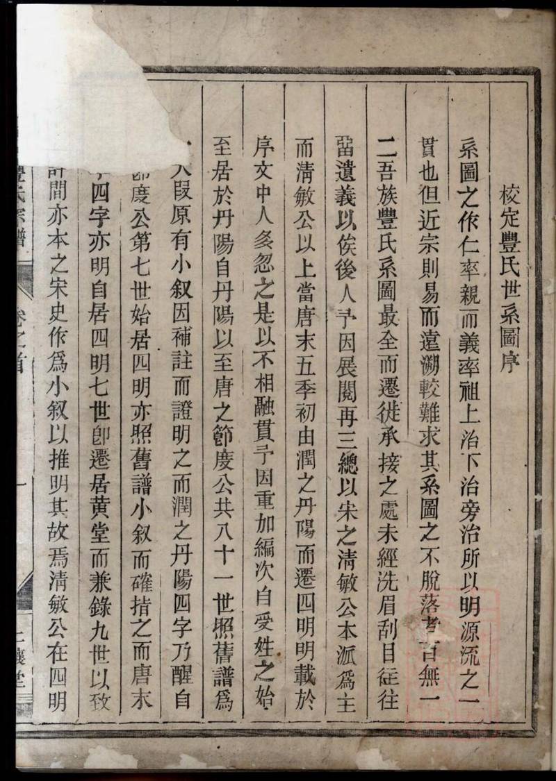 族谱预览