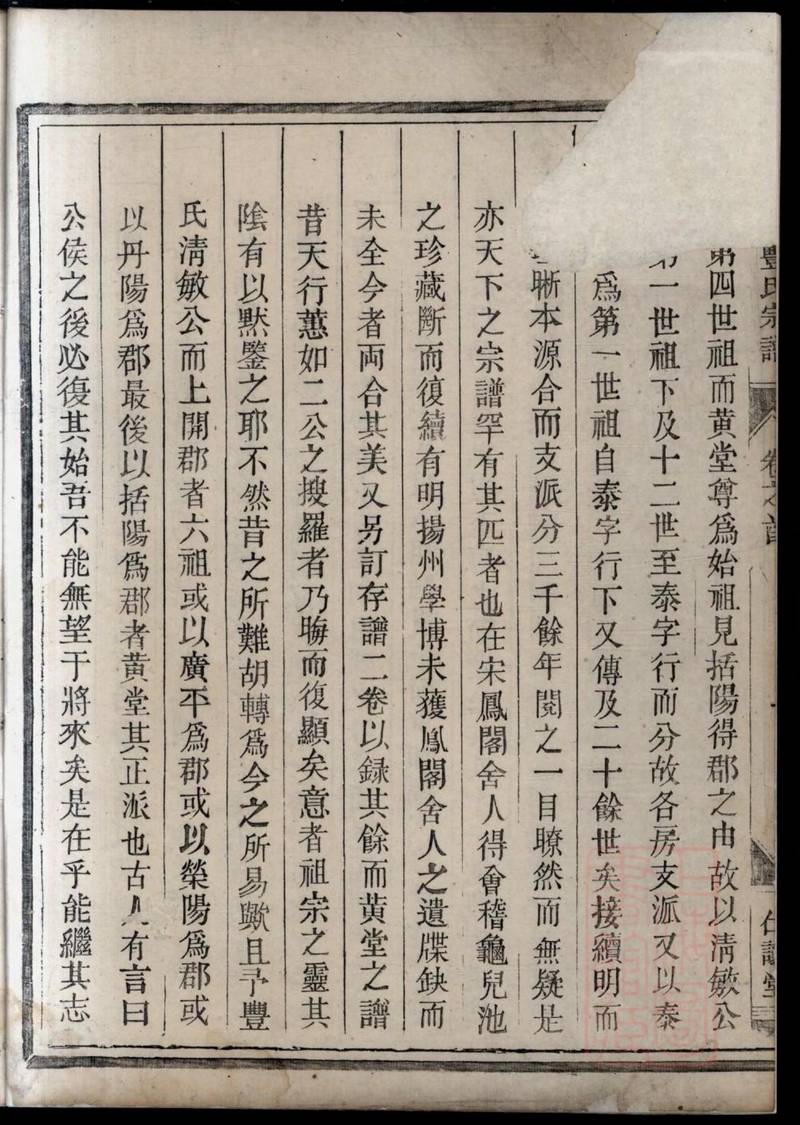 族谱预览