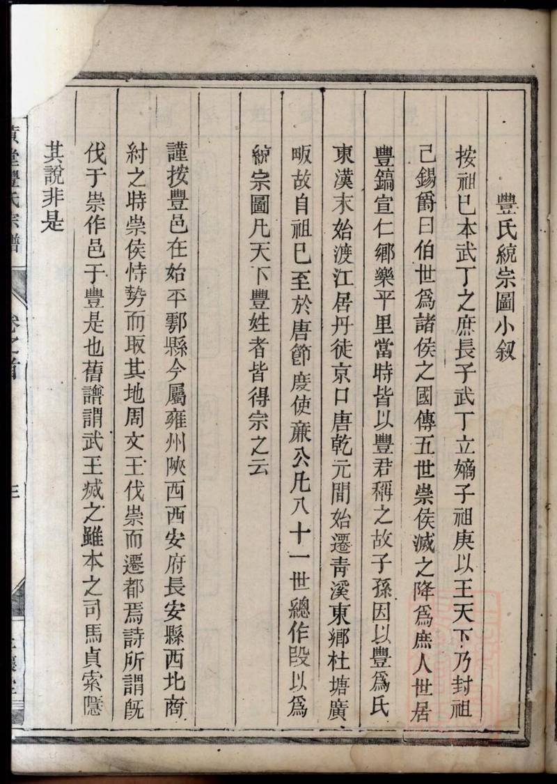 族谱预览