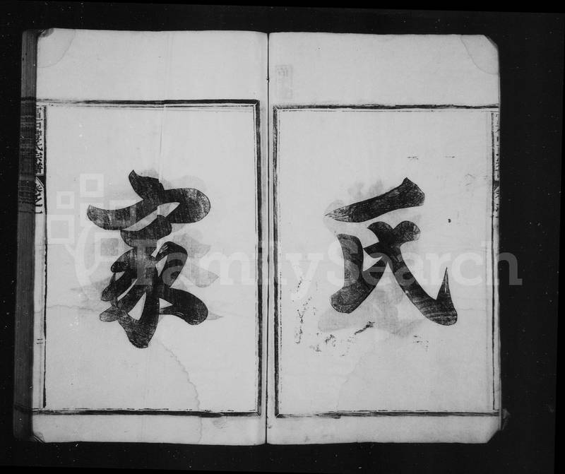族谱预览