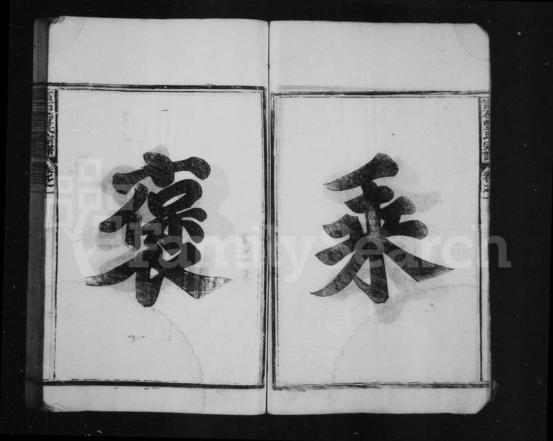 族谱预览