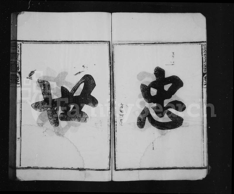 族谱预览