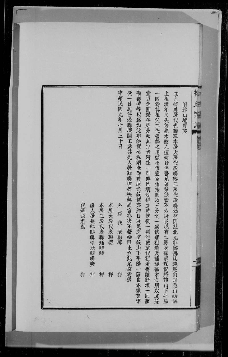 族谱预览