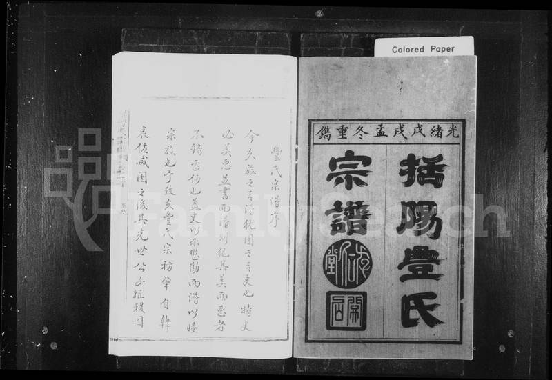 族谱预览