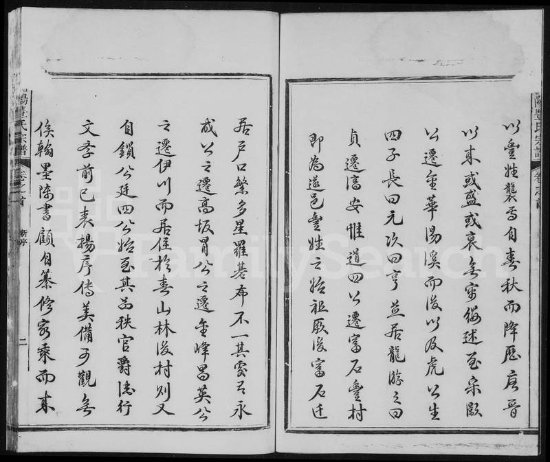 族谱预览