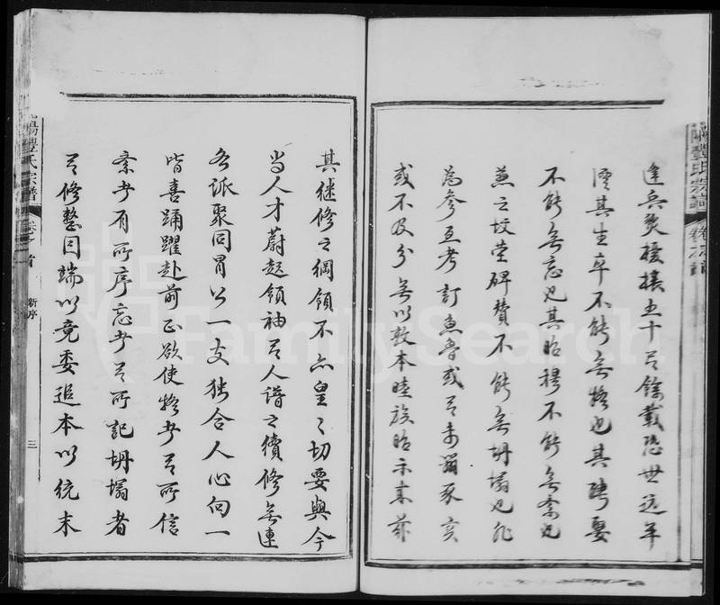族谱预览