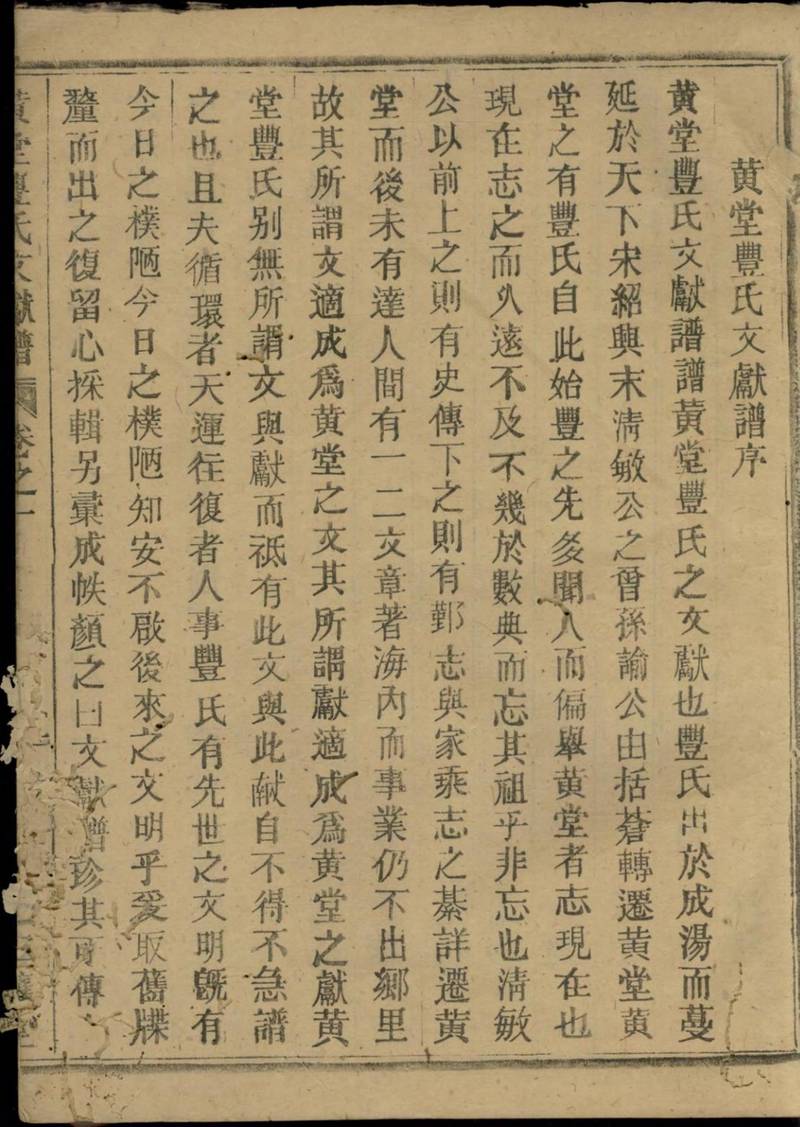 族谱预览