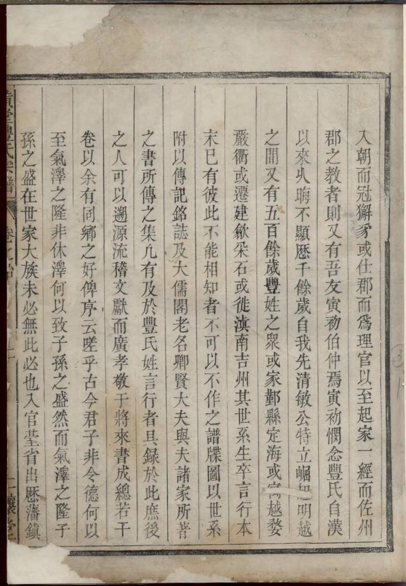 族谱预览
