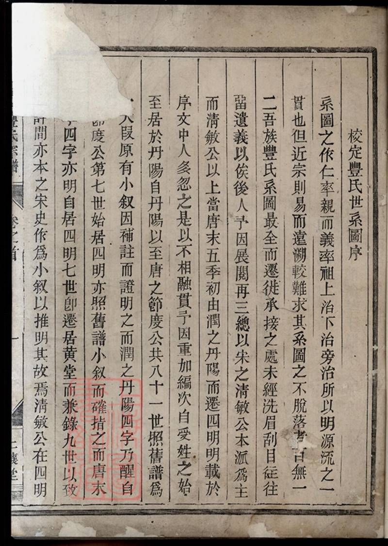 族谱预览