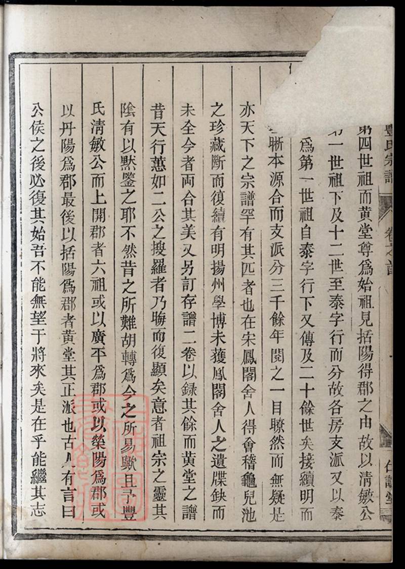 族谱预览