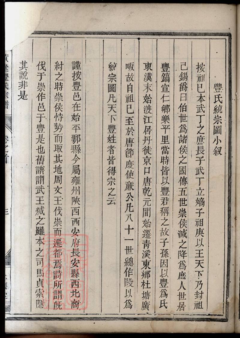 族谱预览