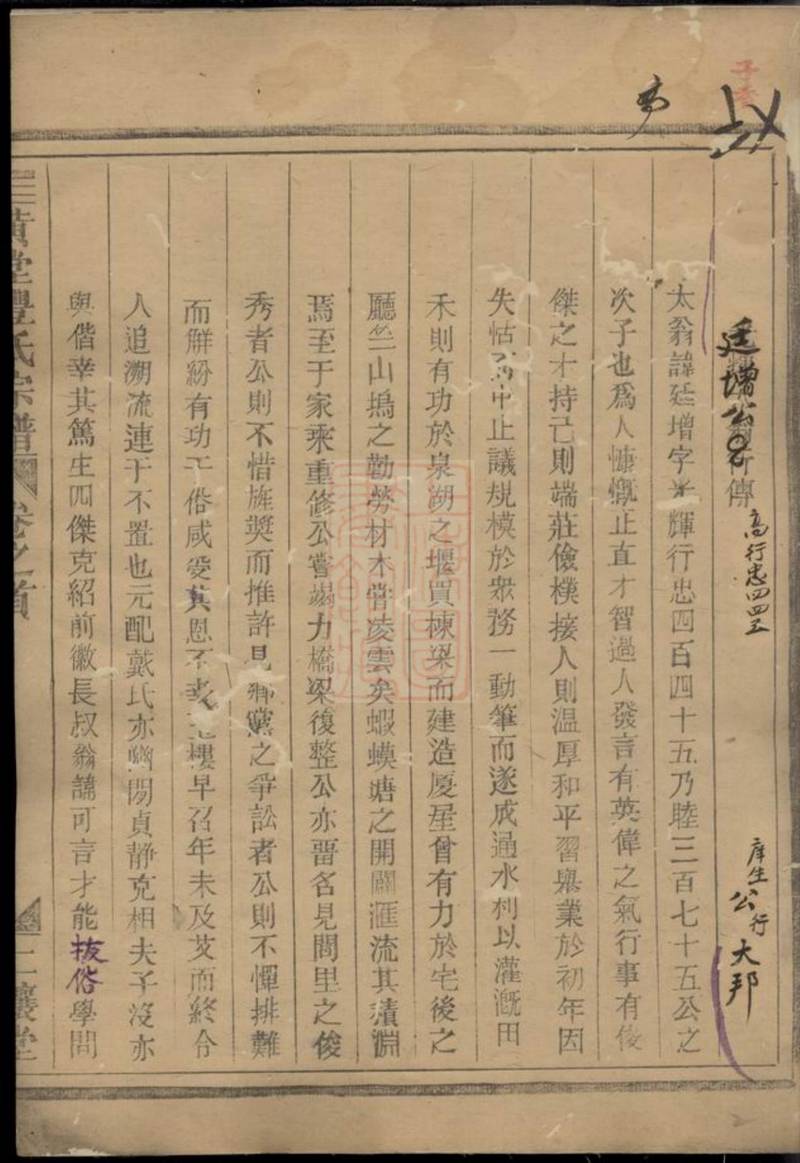 族谱预览