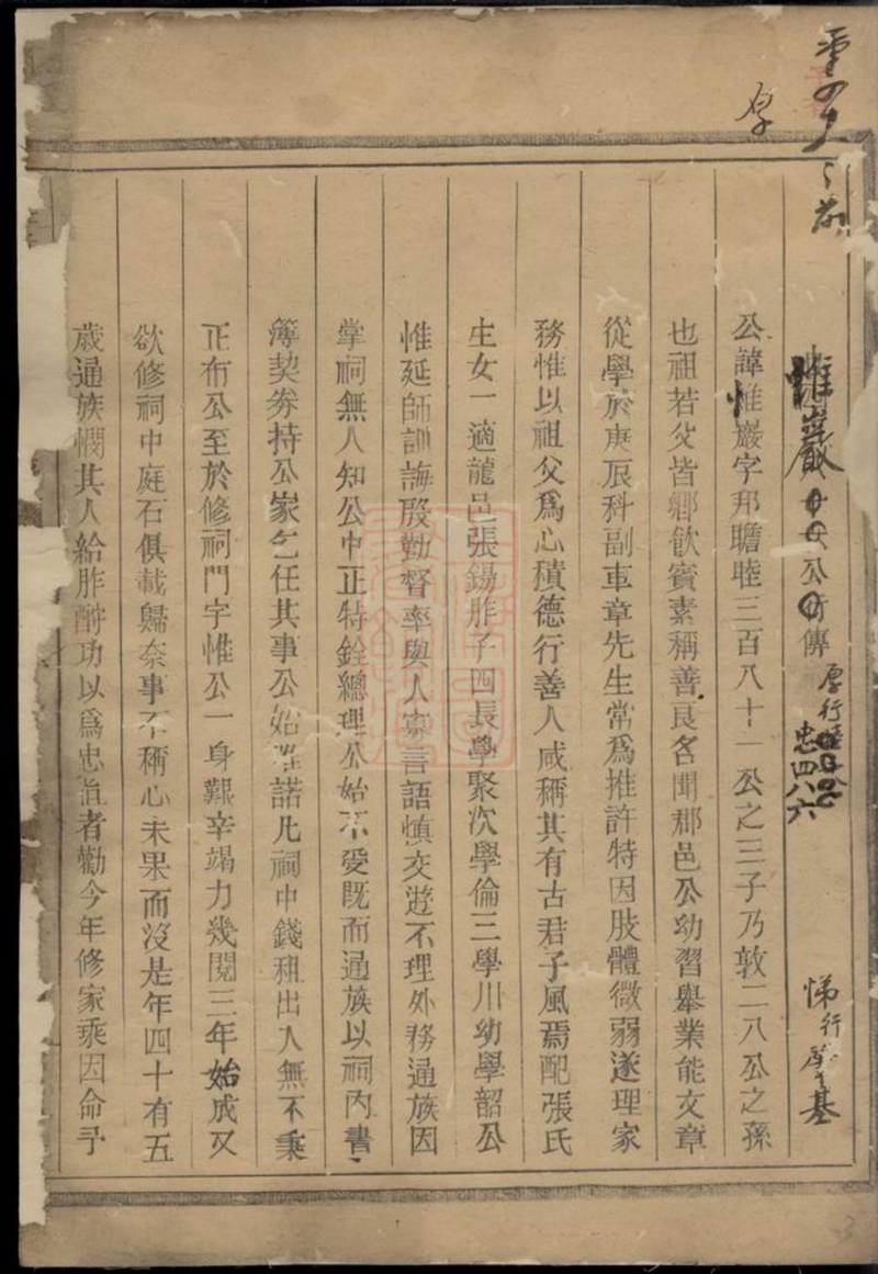 族谱预览