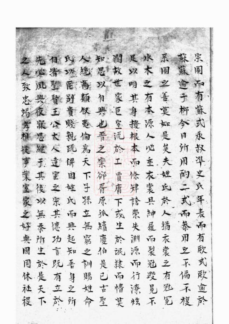 族谱预览