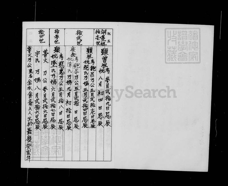 族谱预览