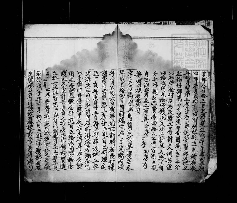 族谱预览