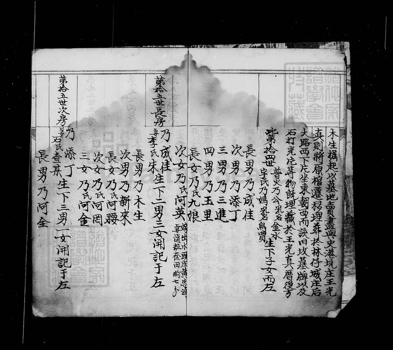 族谱预览