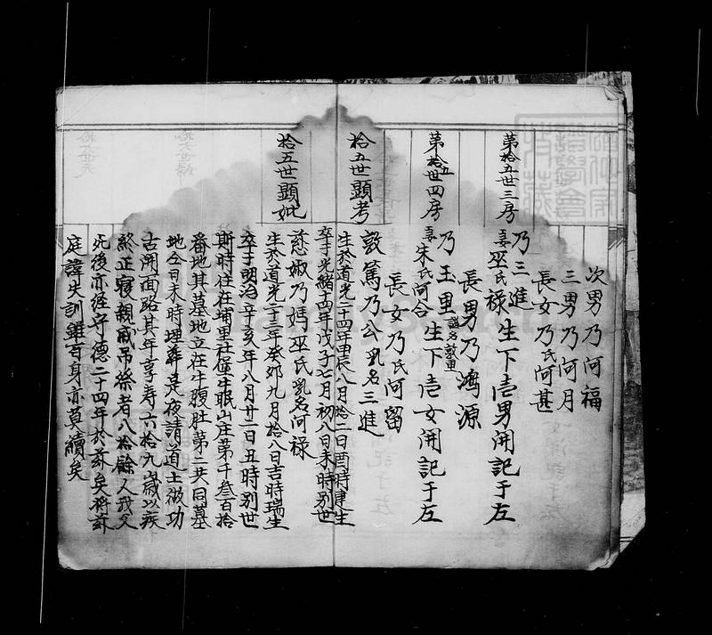 族谱预览