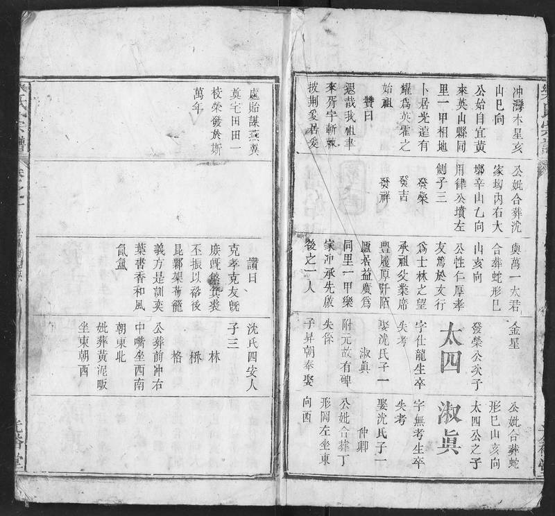 族谱预览