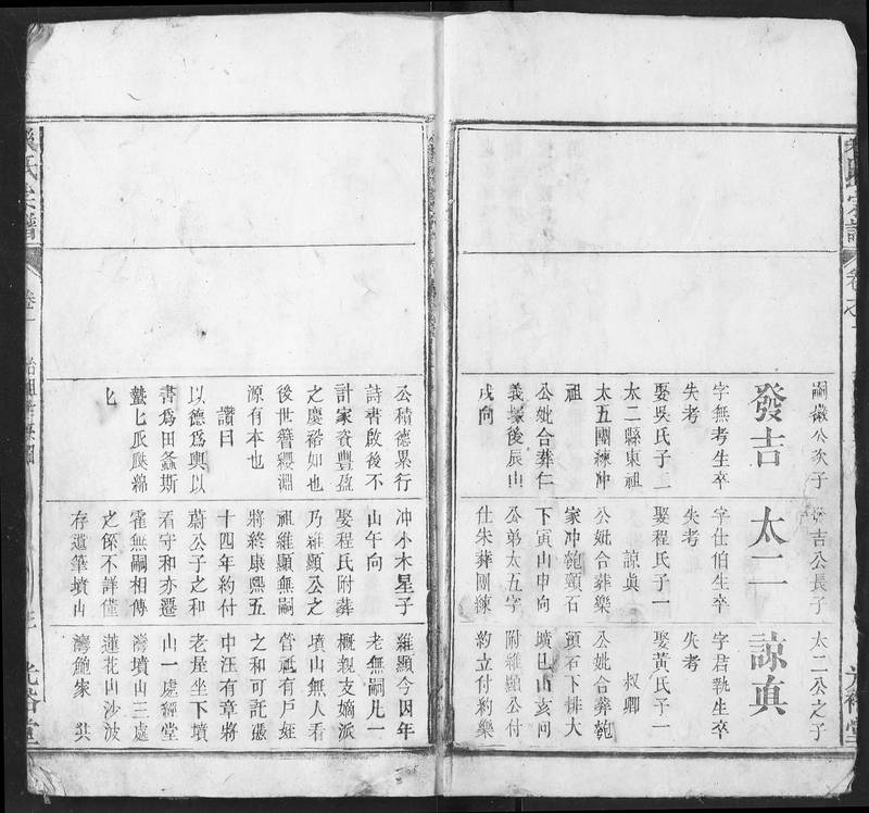 族谱预览