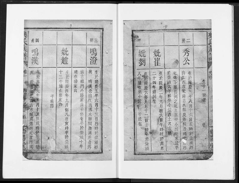族谱预览