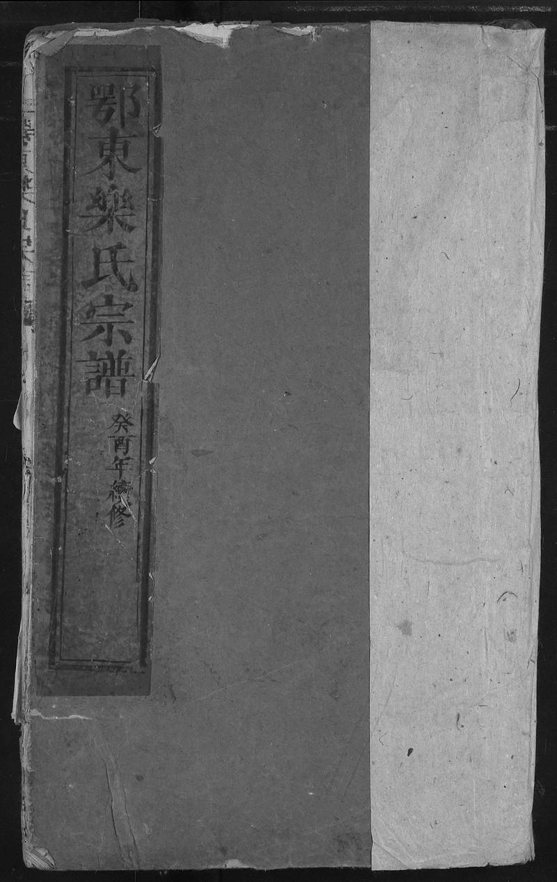 族谱预览