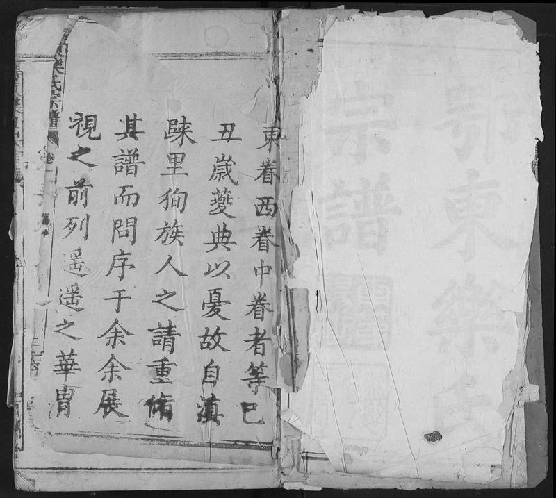 族谱预览