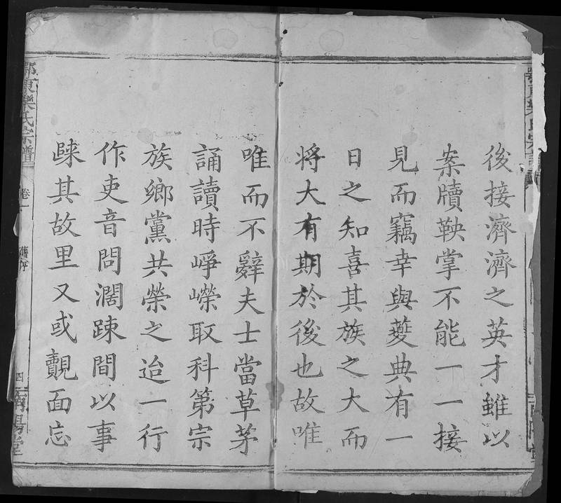 族谱预览